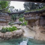 View Zoological Exhibits