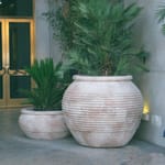 View Megiddo Ribbed Pot / Planter