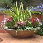View Wok Fire Bowl / Water Bowl / Planter