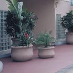 View La Cienega / Planters & Vases