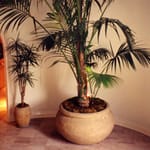 View Petra / Planters & Vases
