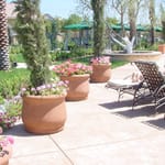 View Topanga / Planters & Vases