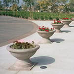View Cesar Bowl