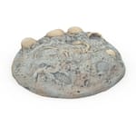 View Fossil Digs Dino Eggs
