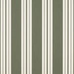 View Fern Classic