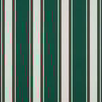 View Forest Green Fancy