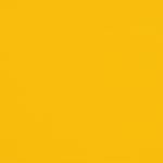 View Sunflower Yellow
