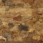 View 1860 Timber