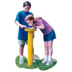 View Pedestal Drinking Fountain 200