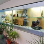 View Display Cases: Pivot Hinge Door Display Cases