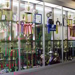 View Display Cases: Large Display Cases