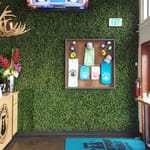 View Premium Living Walls