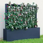 View Trellis With Vines