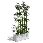 View Artificial Bamboo Groves
