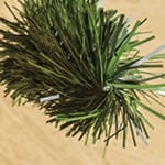 View HedgeLink™ Slats