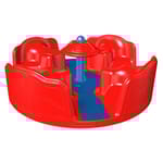 View SL Inclusive Merry-Go-Round