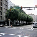 View Tree Applications
