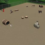 View Nature Dog System