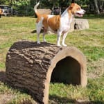 View Terrier Tunnel
