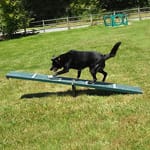 View Scottie Seesaw