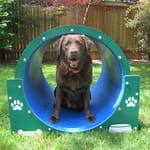 View Bow Wow Barrel™