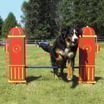 View Fire Hydrant Jump
