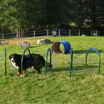 View Hound Hoops™