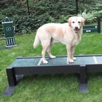 View Eco Balance Beam