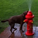 View Top Spray Fire Hydrant