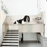 View Dog Grooming Sink