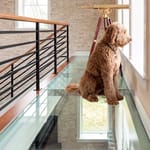 View GlassWalk Structural Glass Floor System