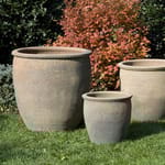View Asian Accents Collection: Egg Pot