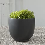 View Metropolitan Collection: Danilo Planter