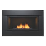 View See-Thru Direct Vent - The Palisade 36
