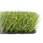 View Tour Putt Turf