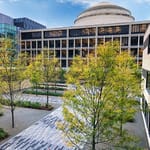 View Tree Installations