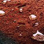 View Stabilizer Pro Red Infield Mix
