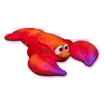 View Lobster (PTW25005)