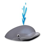 View Dolphin (PTW50001)