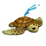 View Sea Turtle (PTW50007)