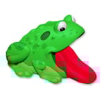 View Frog (PTW15003)