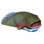 View Trout Fish (TP2175)