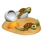 View Sea Turtle Hatchlings (TP2254)