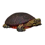 View Turtle Southwest (TP2214)