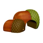 View Acorns (TP2345)