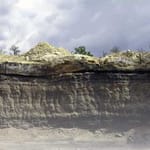 View Live Earth ® Humate Soil Conditioner