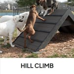 View Hill Climb