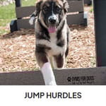 View Jump Hurdles
