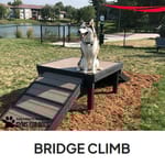 View Bridge Climb