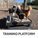 View Training Platform